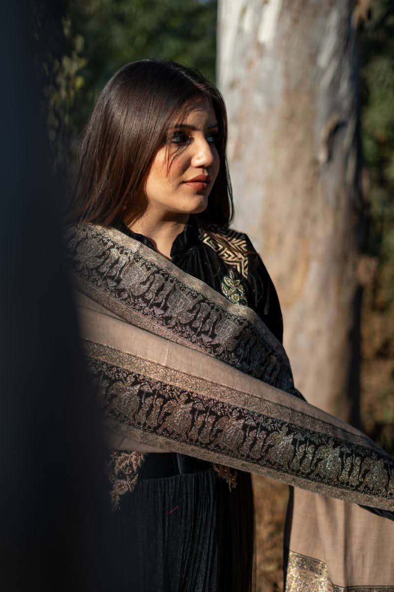 Darbar Border Palla Zari Shawl