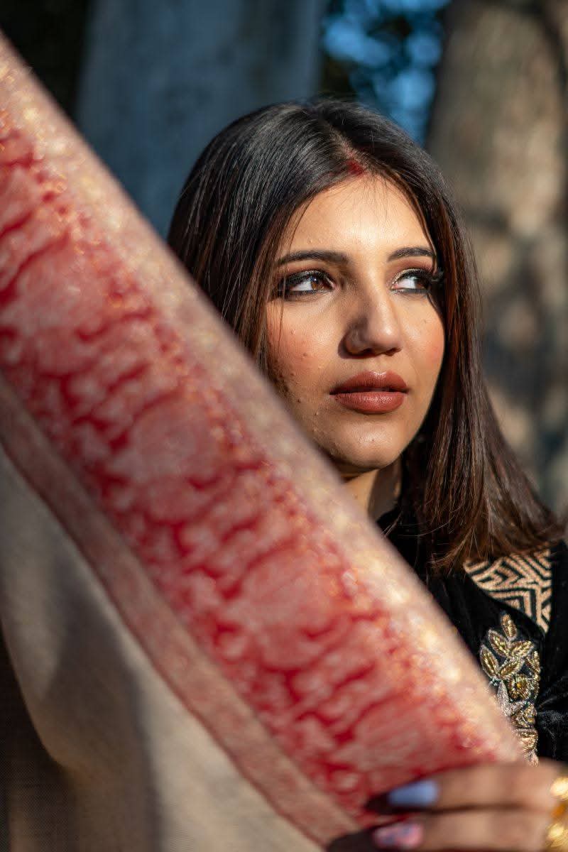 Darbar Border Palla Zari Shawl