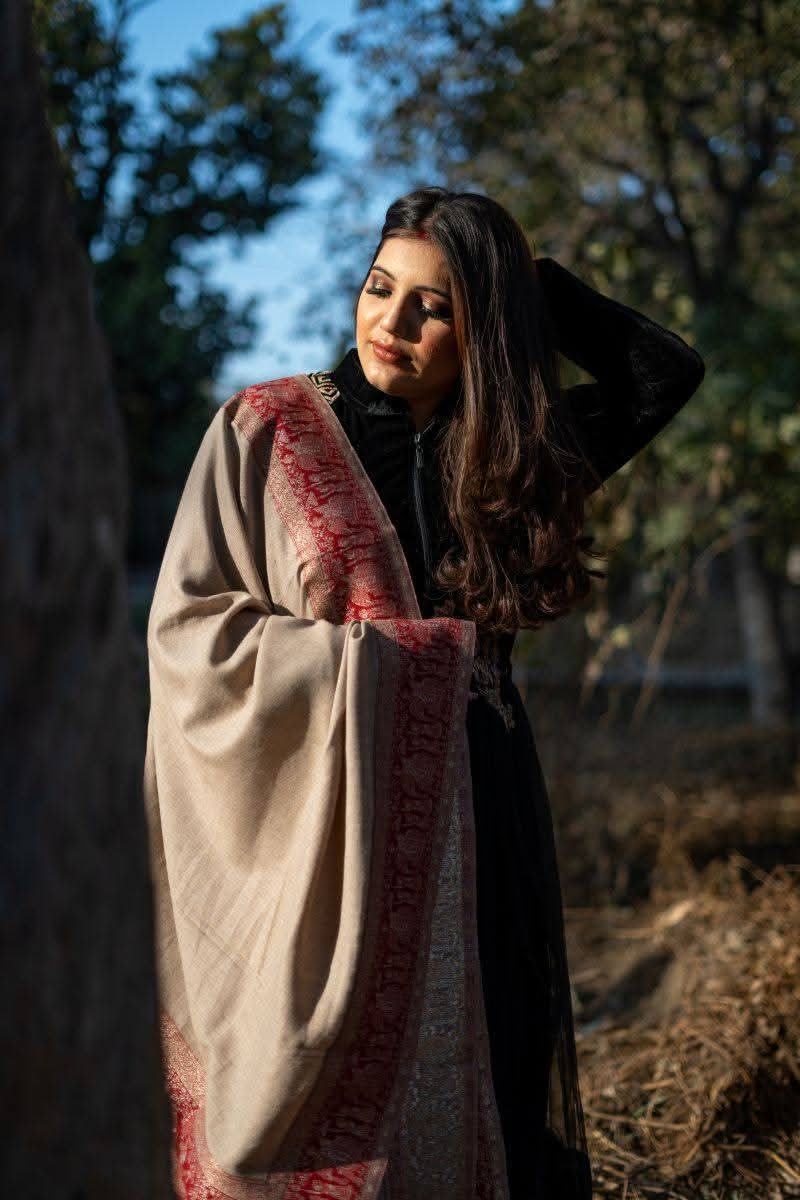Darbar Border Palla Zari Shawl