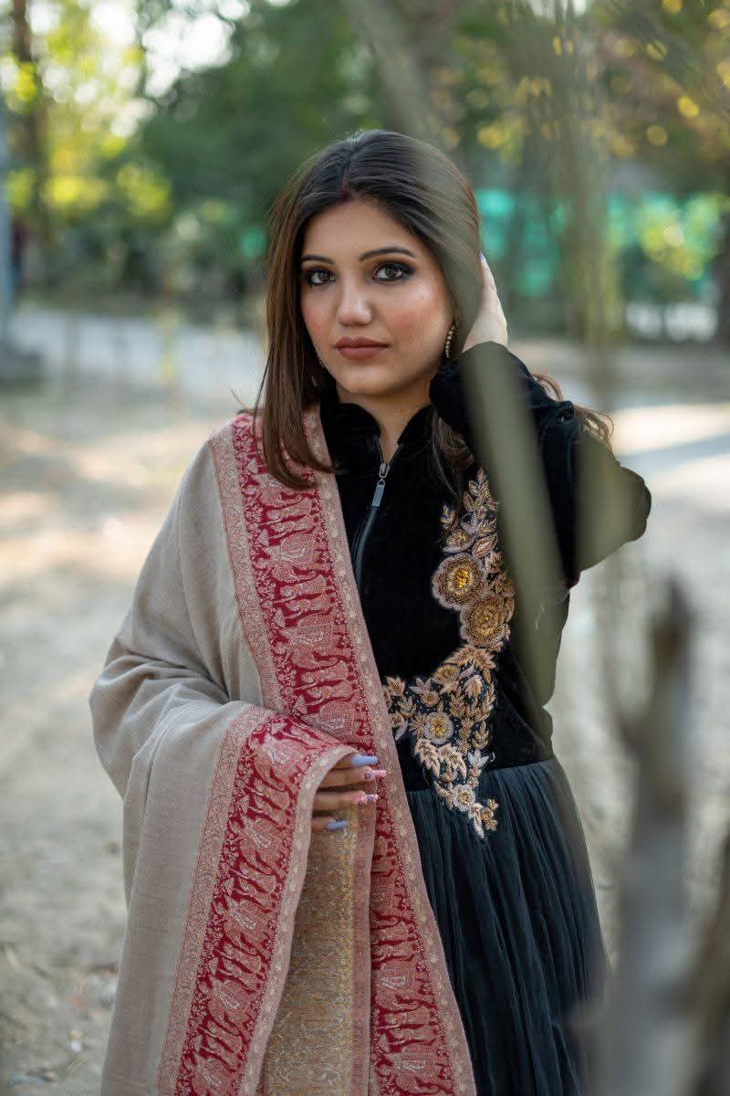 Darbar Border Palla Zari Shawl