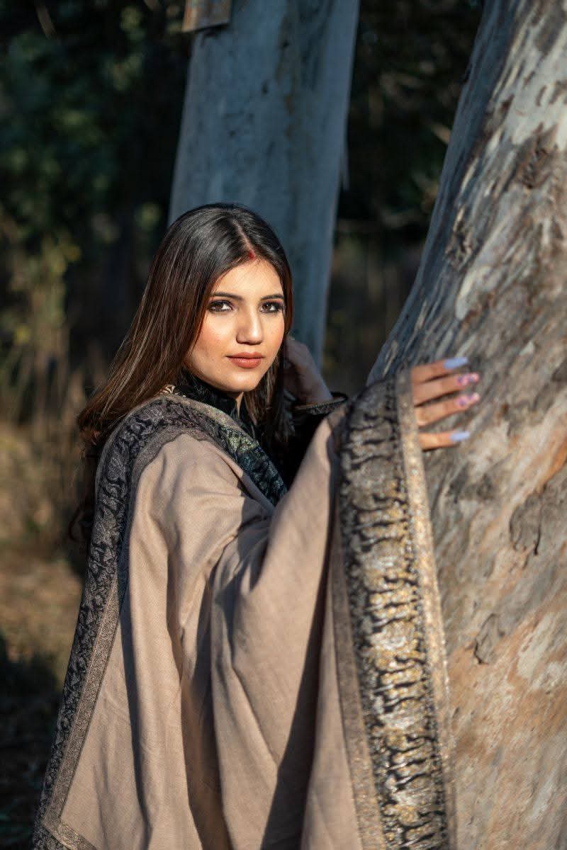 Darbar Border Palla Zari Shawl