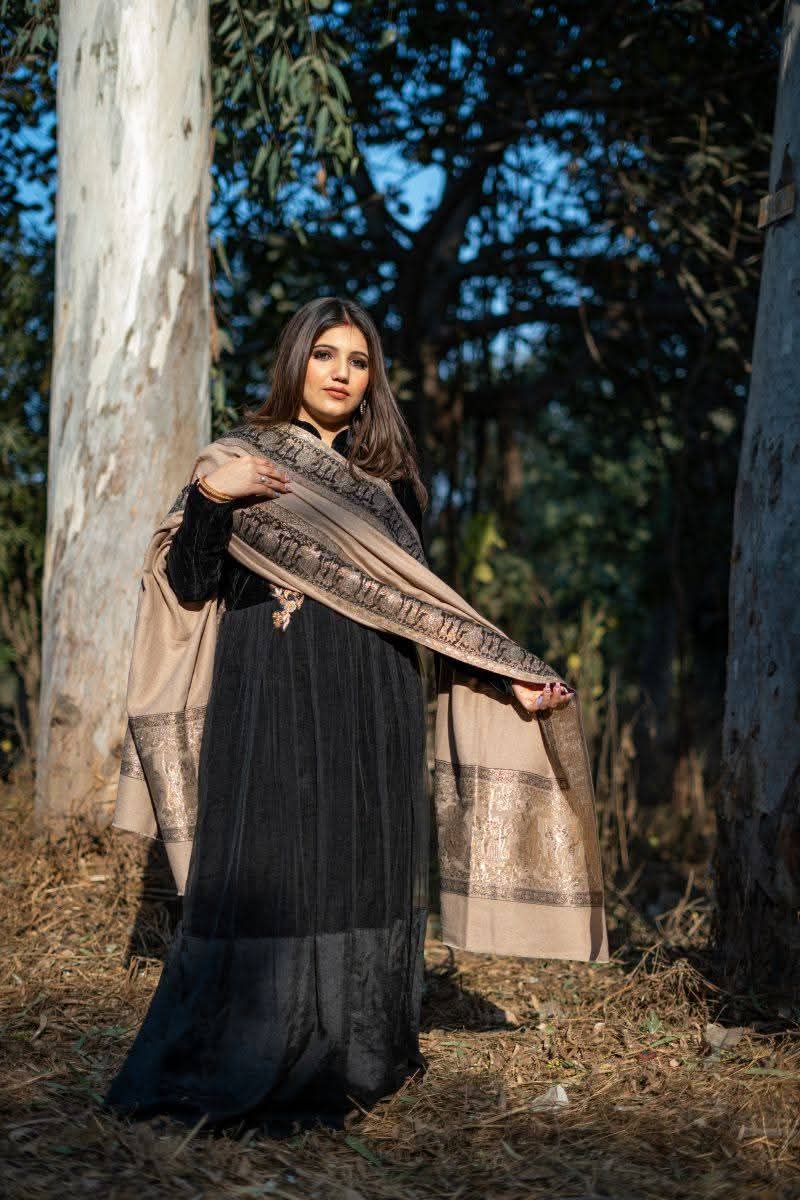 Darbar Border Palla Zari Shawl