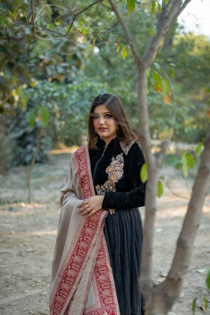 Darbar Border Palla Zari Shawl